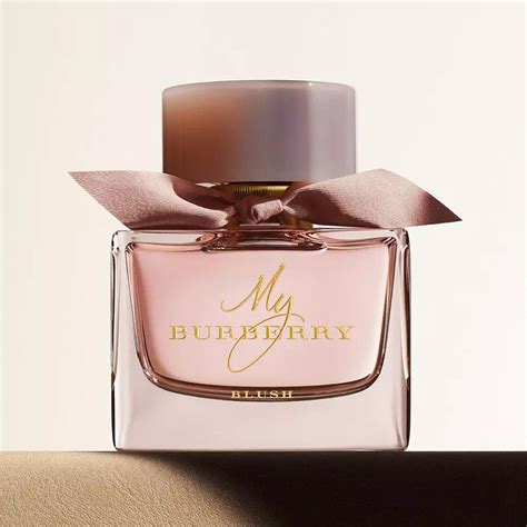 burberry new in women's.